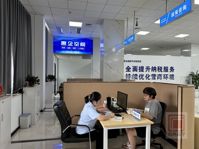 深入解析：可行性研究报告在项目决策中的作用