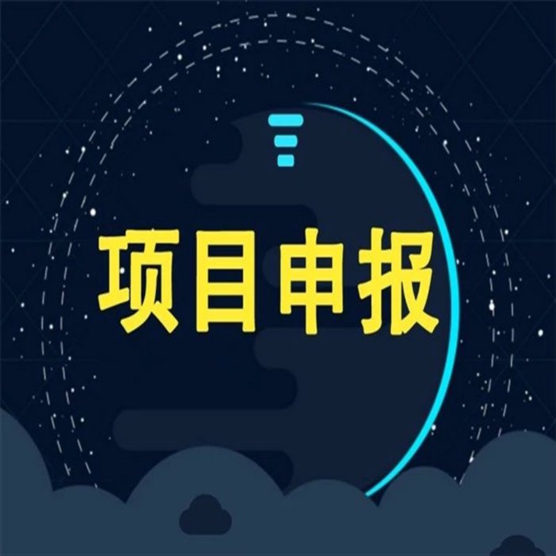 上海信息咨询业：洞察未来趋势的智慧之眼